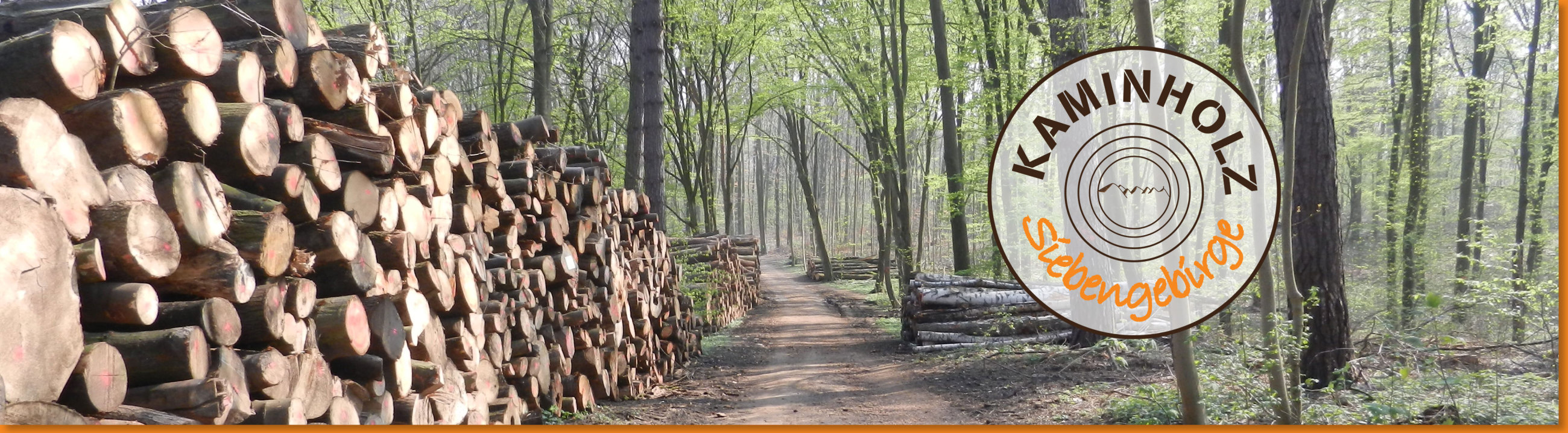 Kaminholz Siebengebirge